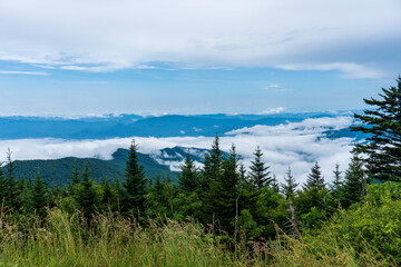 Naklejka na ściany i meble Great Smoky Mountain National Park. Foggy, cloudy mountain views from Clingmans Dome - highest point in park, Tennessee, and Appalachian Trail. Spruce-fir forest is coniferous rainforest.