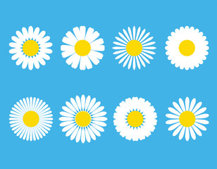 Chamomile. White daisy round flower set. Chamomile icon collection. Isolated on blue background. Flat design. Vector illustration. Summer chamomile flower. Love symbol