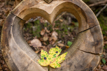 Herz aus Holz im Herbst