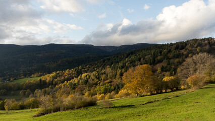 Obraz premium Autumn landscape in the Vosges mountains, in France