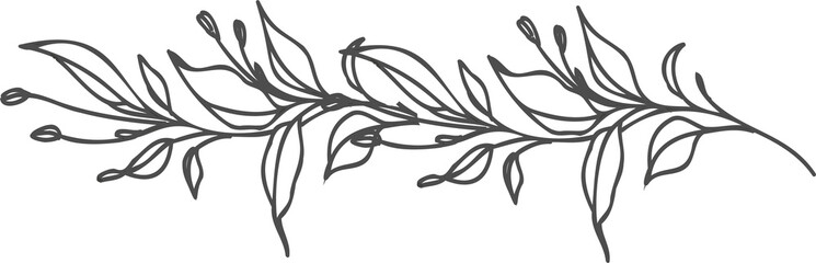 Line art floral dividers. Dividers with Branches, Plants and Flowers