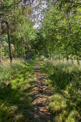 Walk in the French countryside