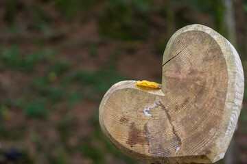 Herz aus Holz im Herbst