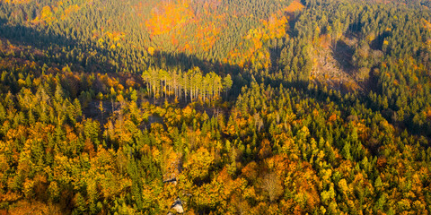 Colourful autumn forest of Jizera Mountains from above