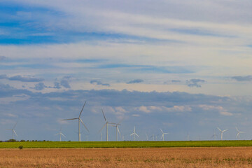 Fototapeta na wymiar Wind turbines in a field. Renewable energy