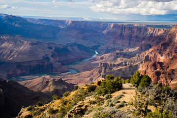 grand canyon state