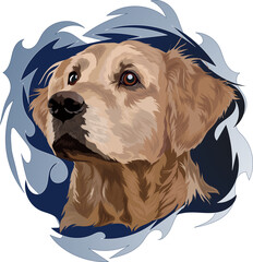 Dog breed, golden labrador retriever, portrait on blue background, vector illustration