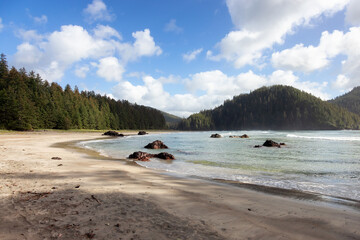 Sandy beach on Pacific Ocean Coast View. Sunny Blue Sky. San Josef Bay, Cape Scott Provincial Park, Northern Vancouver Island, BC, Canada. Canadian Nature Background