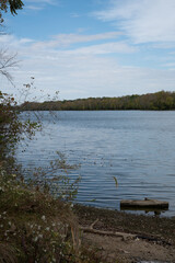 Log floating just off shore on a mountain lake in Portrait aspect