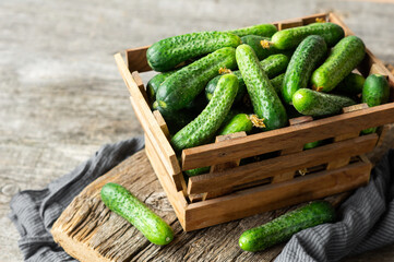 Fresh ripe organic small gherkin cucumbers in bowl or basket, not marinated vegetable, cornichon