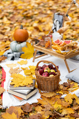 Cozy composition of autumn picnic outdoors. Rustic decor with ripe red apple in wooden basket, pumpkin, plaid, delicious food, books. Fall vibes