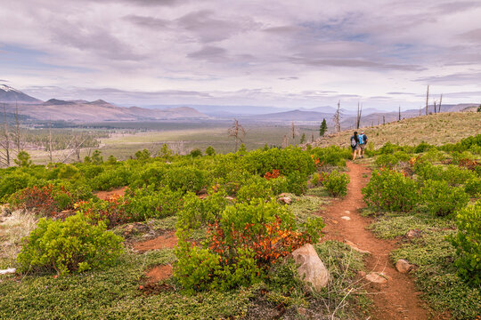 Hiking The Pacific Crest Trail In A Burned Forest Impacted By California Wildfires