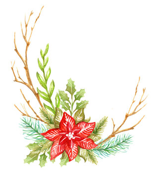 Christmas plants and poinsettia watercolor isolated illustration