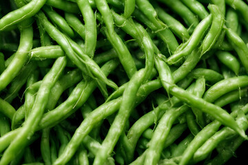 green beans, a healthy vegetable food, freshly harvested, farm produce