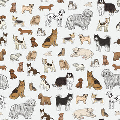 Dogs pets breed vector seamless pattern.