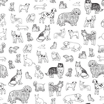 Dog pet breed line vector seamless pattern.