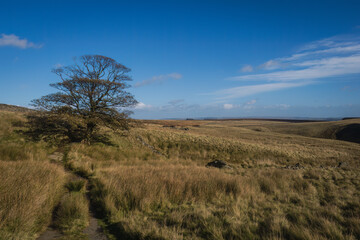 Walking from Haworth to Top Withens and Wuthering Heights