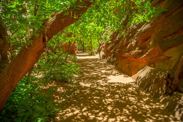 shady tree covered winding path through utah red sandstone horizontal