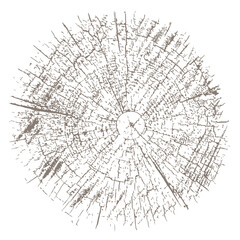 Grunge texture of cracked wooden log end