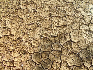 Beautiful view of dry land