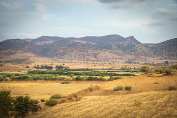 Fototapeta na wymiar landscape in the rif mountains, morocco, north africa