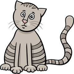 cartoon gray tabby cat comic animal character
