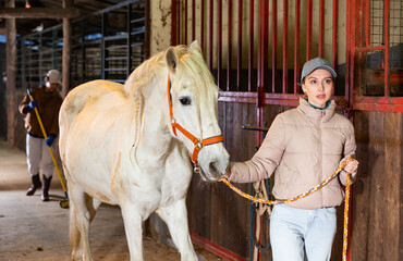 Skilled young female farmer holding reins leading white horse through stable. Horse breeding concept..