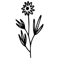 Hand drawn flower in doodle style on a transparent background. One line.