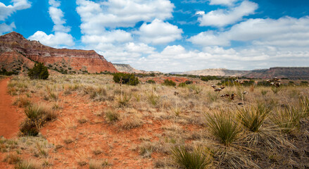 Palo Duro State Park, Texas