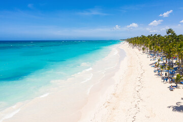 Bounty and pristine sandy shore with coconut palm trees, caribbean sea washes tropical coast....
