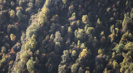 Fototapeta na wymiar Mountain slopes and rocks overgrown with dense vegetation of trees in the morning light, sunny autumn day