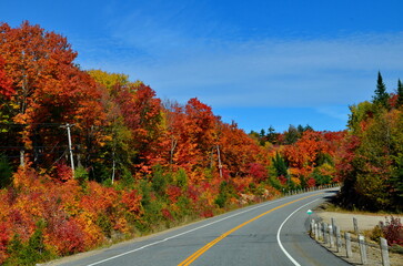 Fall Colors in Algonquin Park, Ontario, Canada, 2022