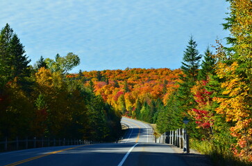 Obraz premium Fall Colors in Algonquin Park, Ontario, Canada, 2022