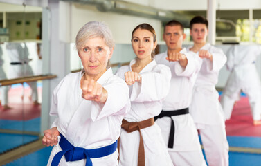 Fototapeta na wymiar Group lesson in karate or taekwondo in the gym. Practicing blows
