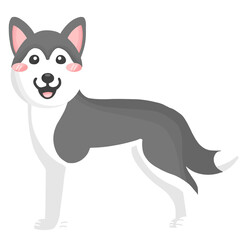cute Husky dog animal