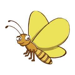 butterfly cartoon