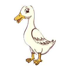 duck isolated on white background