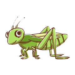 Fototapeta na wymiar grasshopper insect cartoon