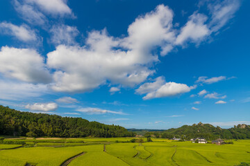 田んぼと青空（大分県豊後高田市）