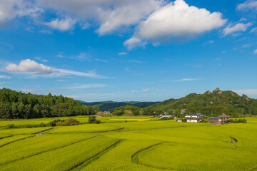 田んぼと青空（大分県豊後高田市）