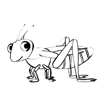Grasshopper Cartoon