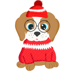 Cute doodle dog in sweater for Christmas day