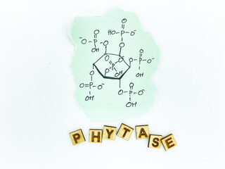 Enzymes in Animal Feed, Poultry, swine, aquatic, cattle. Improve digestibility. Conceptual image for enzyme brochure, flyer product designs