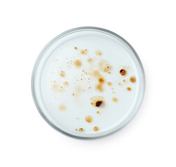 Petri dish with bacteria colony isolated on white, top view
