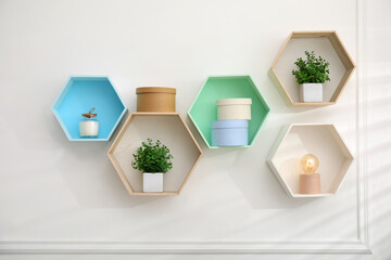 Honeycomb shaped shelves with decorative elements and houseplants on white wall