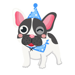 cute dog wearing party hat