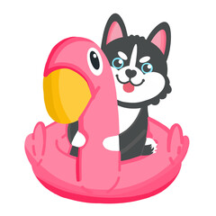 Siberian husky dog on pink rubber duck