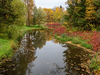 Alexander Park (Tsarskoye Selo). Lansky Pond. Common spindle (Euonymus europaeus) with purple...