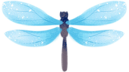 dragonfly isolated on white background