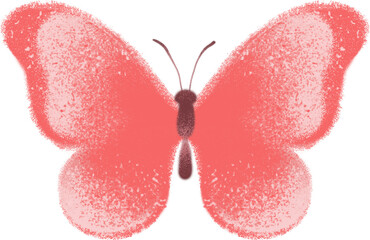 Fototapeta premium butterfly isolated on white